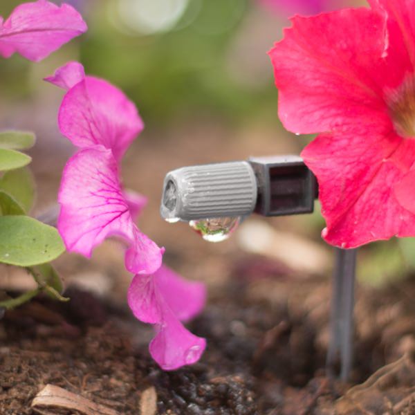 Picture of a waterhose with a flower